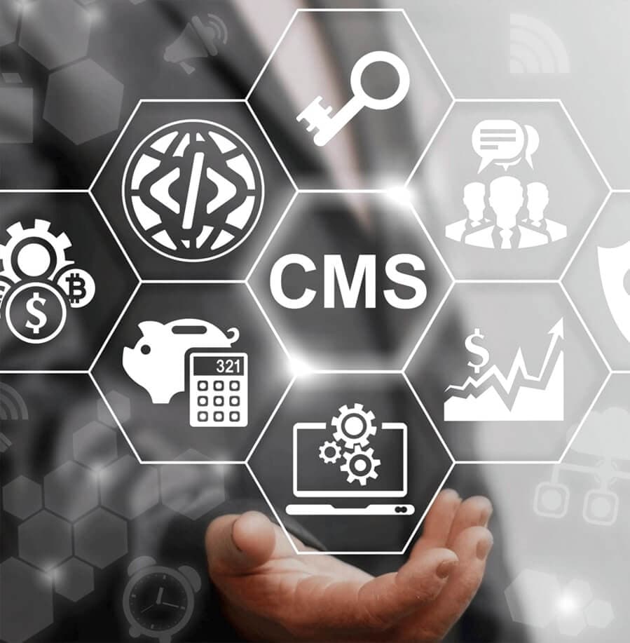 CMS Development