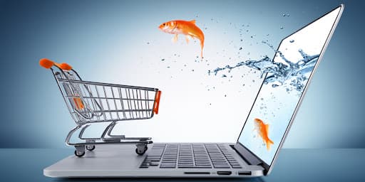 E-commerce Solutions